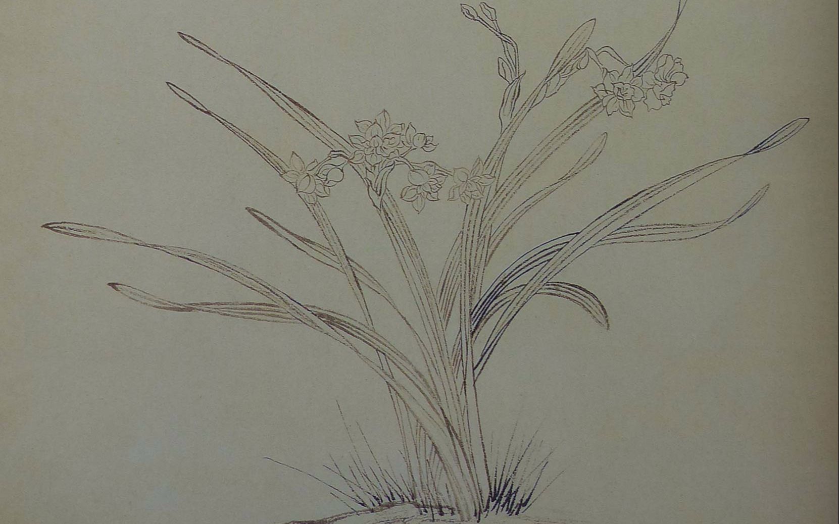 【艺术】艺术学原理与美术鉴赏 全37讲 清华大学 杨琪 教授主讲