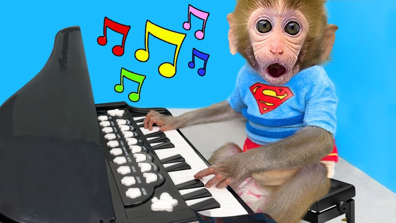 猴哥早餐吃美了,抓紧时间练钢琴,争取早日过10级