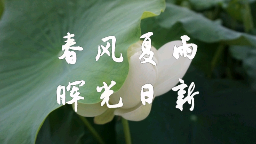 春风夏雨,晖光日新——一份迟到的留念与祝福