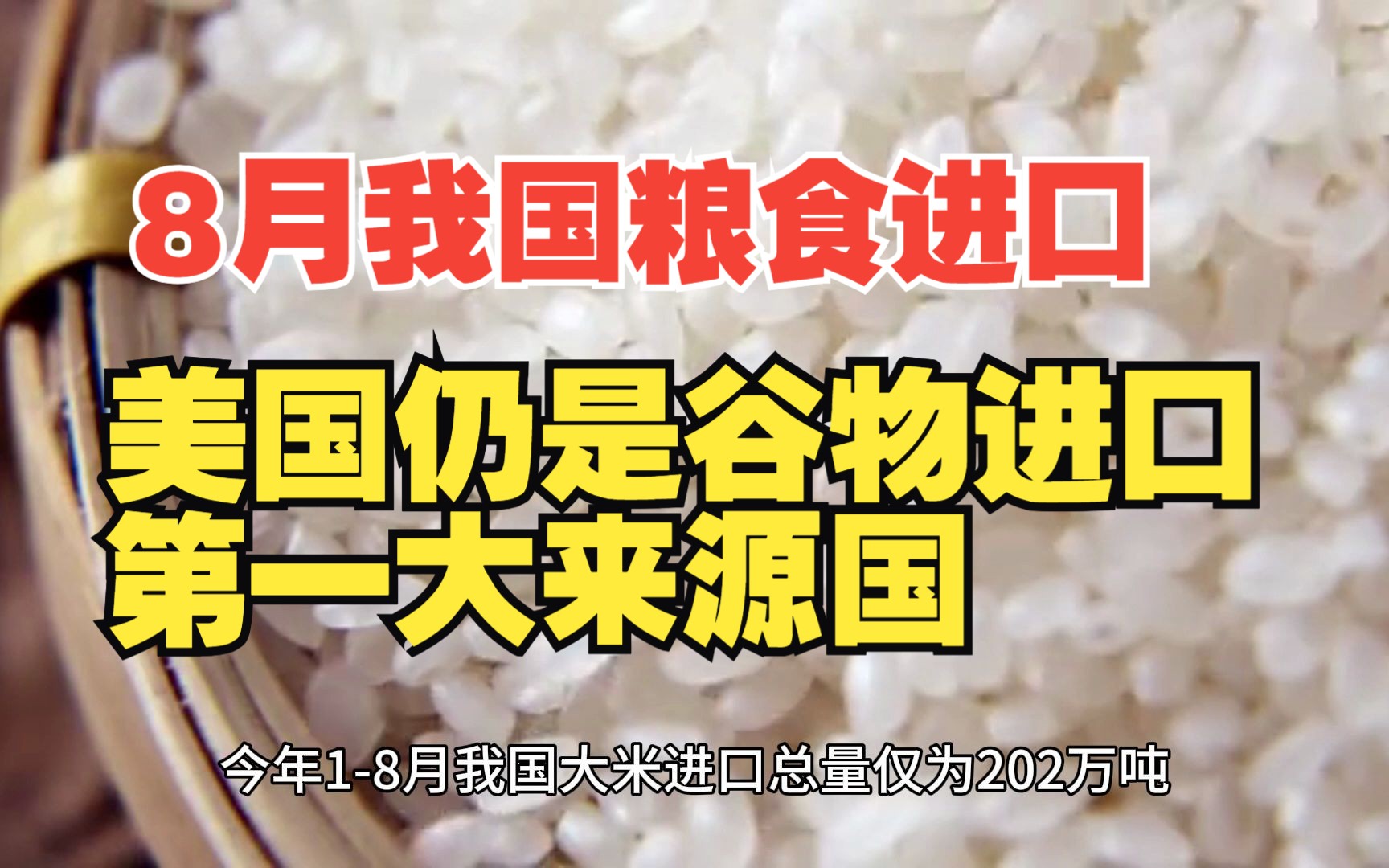 8月我国粮食进口数据简析:进口32万吨乌克兰玉米 美国仍是谷物进口第一大来源国哔哩哔哩bilibili