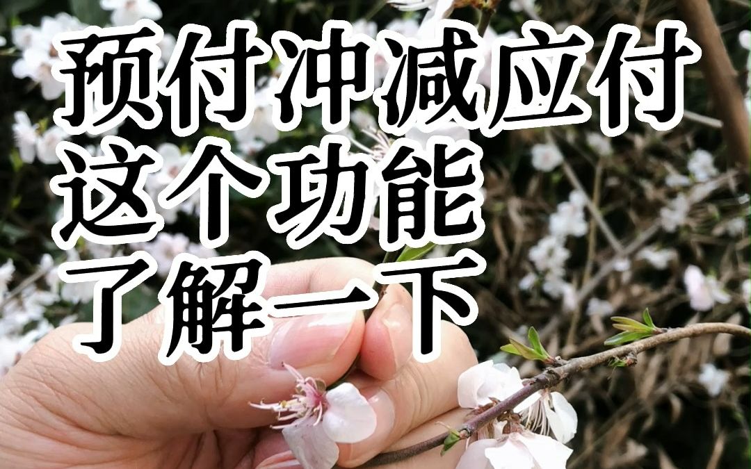 预付冲减应付,这个功能了解一下.哔哩哔哩bilibili