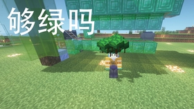 我的世界197 找到海龟蛋了 用精准采集挖回家 希望孵化成功 哔哩哔哩 つロ干杯 Bilibili