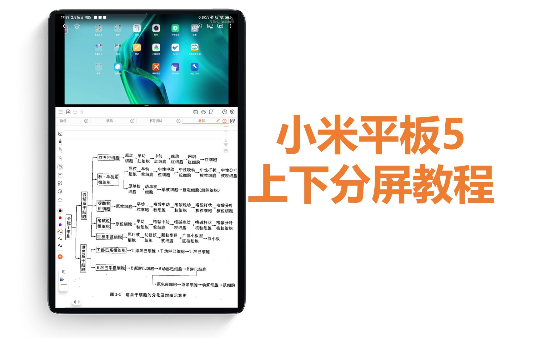 【小米平板5】上下分屏教程哔哩哔哩bilibili