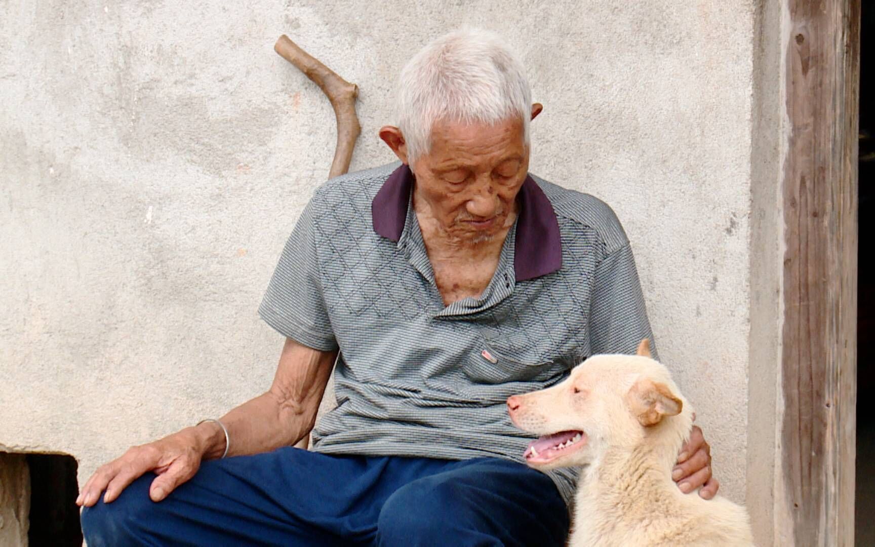 【百寿探秘】中国版忠犬八公!狗狗不离不弃守护102岁老人(20170704)