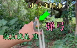 Download Video: 弹弓高精度小夹角瞄准！记住两个方法，打准非常简单