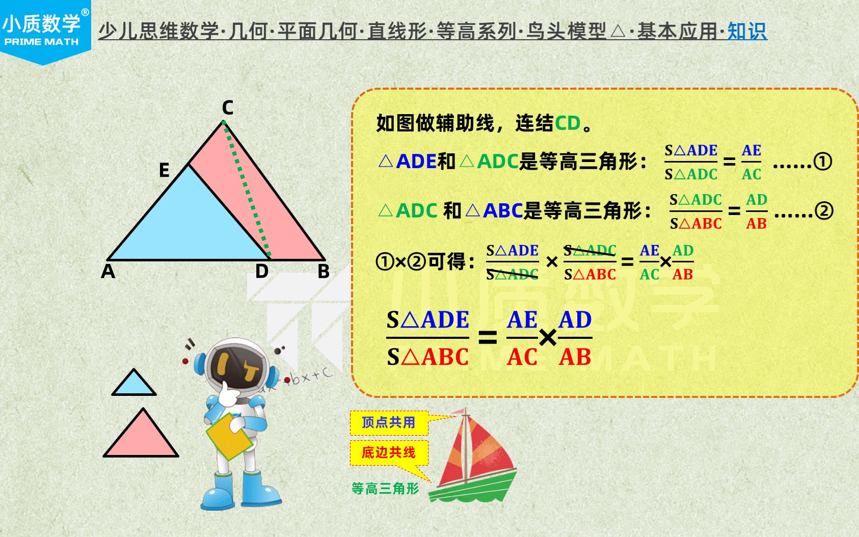 鸟头模型课件图片