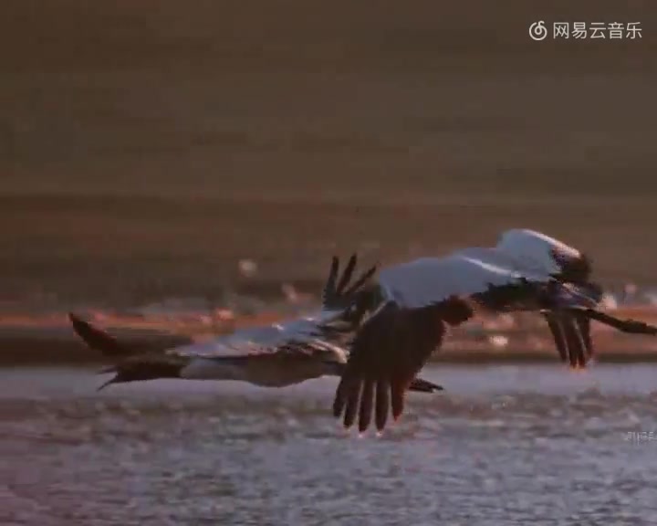 [图]李健《水流众生》——佛学 禅意 水泽万物