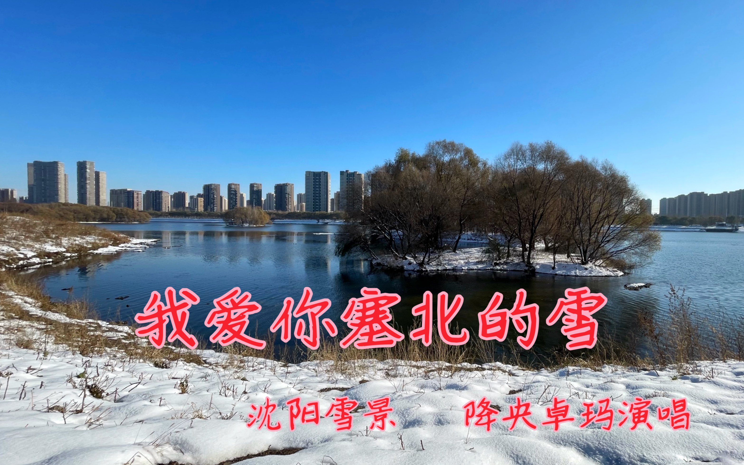 [图]我爱你塞北的雪，东北沈阳暴雪后雪景，降央卓玛演唱