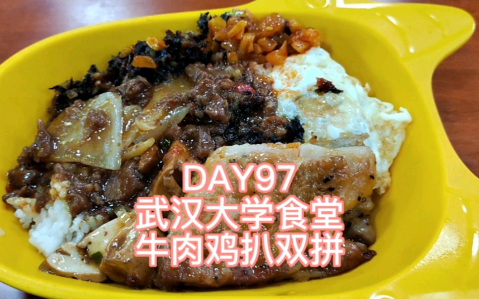 day97 牛肉鸡扒饭 武汉大学信息学部食堂哔哩哔哩bilibili