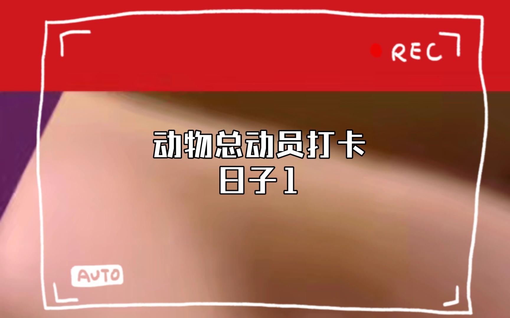 动物总动员打卡日子1|19|37|361