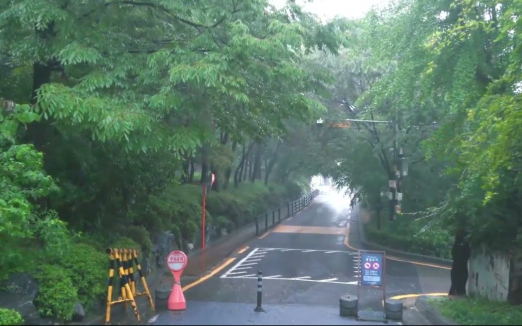 [图][大雨漫步] 沿着森林步道在大雨中轻松漫步。 雨声