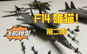 Download Video: 【飞机模型】1比72 CW F14 雄猫战斗机（第2集）