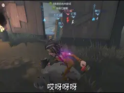 猪猪vs蜂蜂