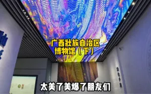 Download Video: 逛完广西壮族自治区博物馆，环境太美了：可惜因为这个原因没逛完