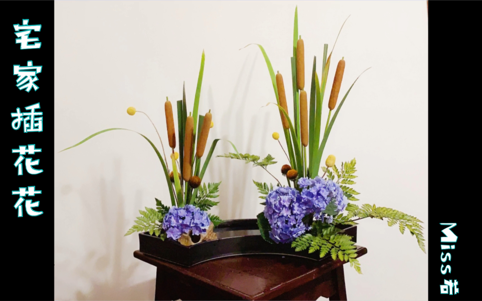 活动作品宅家插花花蒲棒重瓣绣球鸢尾叶黄金球猫眼羊齿叶鲜花开箱后记