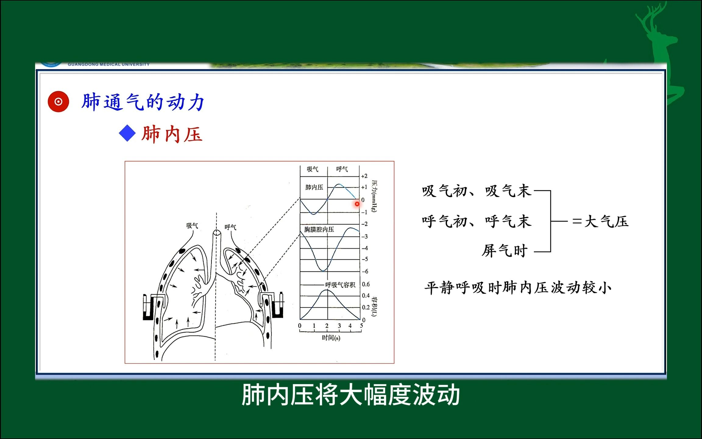 #肺内压和胸膜腔内压#人体生理学#医学科普#每天学习一点点哔哩哔哩bilibili