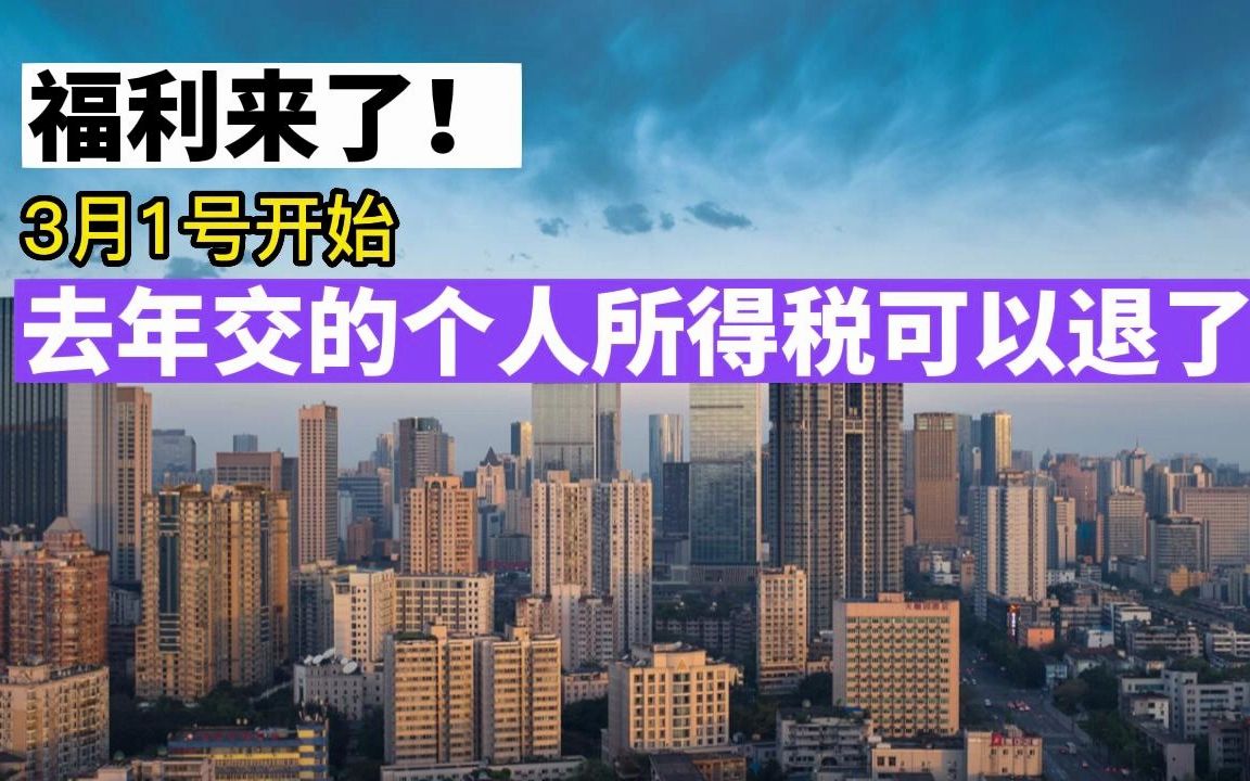 福利来了!个人所得税可以申请退税了,看看你能退多少钱?哔哩哔哩bilibili