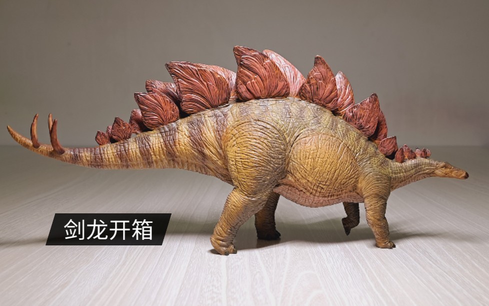 本心楠改剑龙开箱