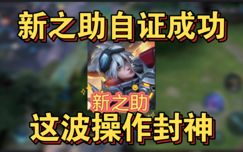【新之助自证成功】新之助这局游戏操作封神,不愧是国服守约。 哔哩哔哩