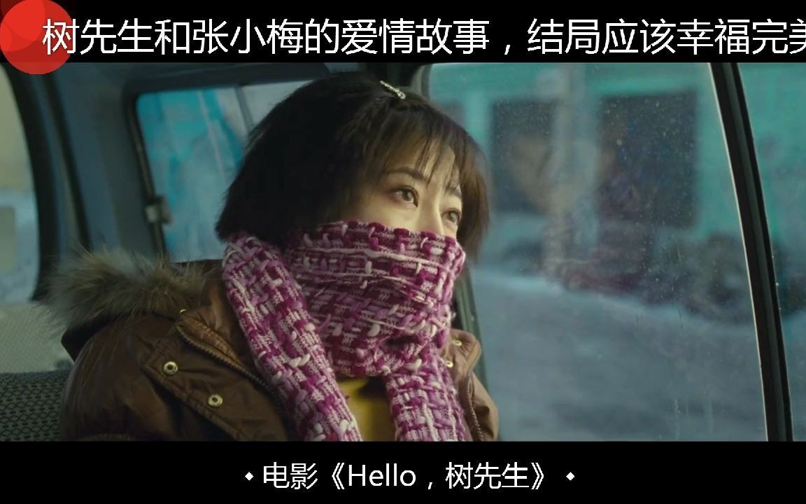 树先生与张小梅的爱情故事结局应该幸福完美