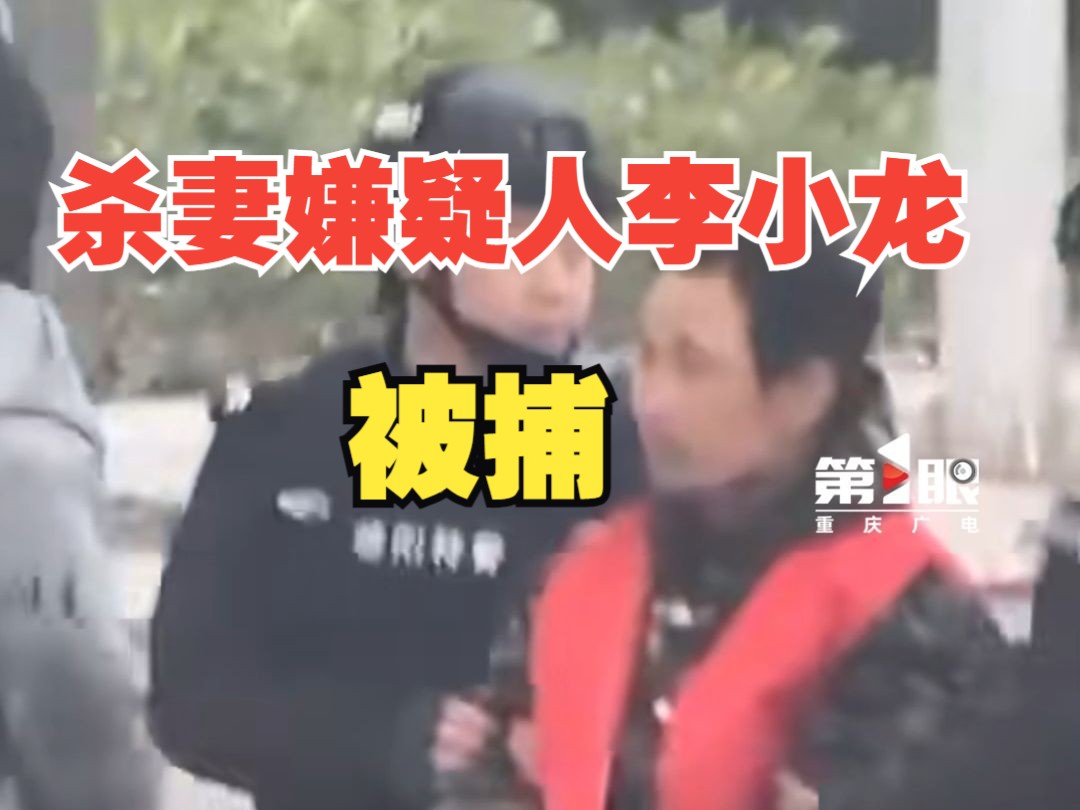 杀妻嫌疑人李小龙在四川广元被捕哔哩哔哩bilibili