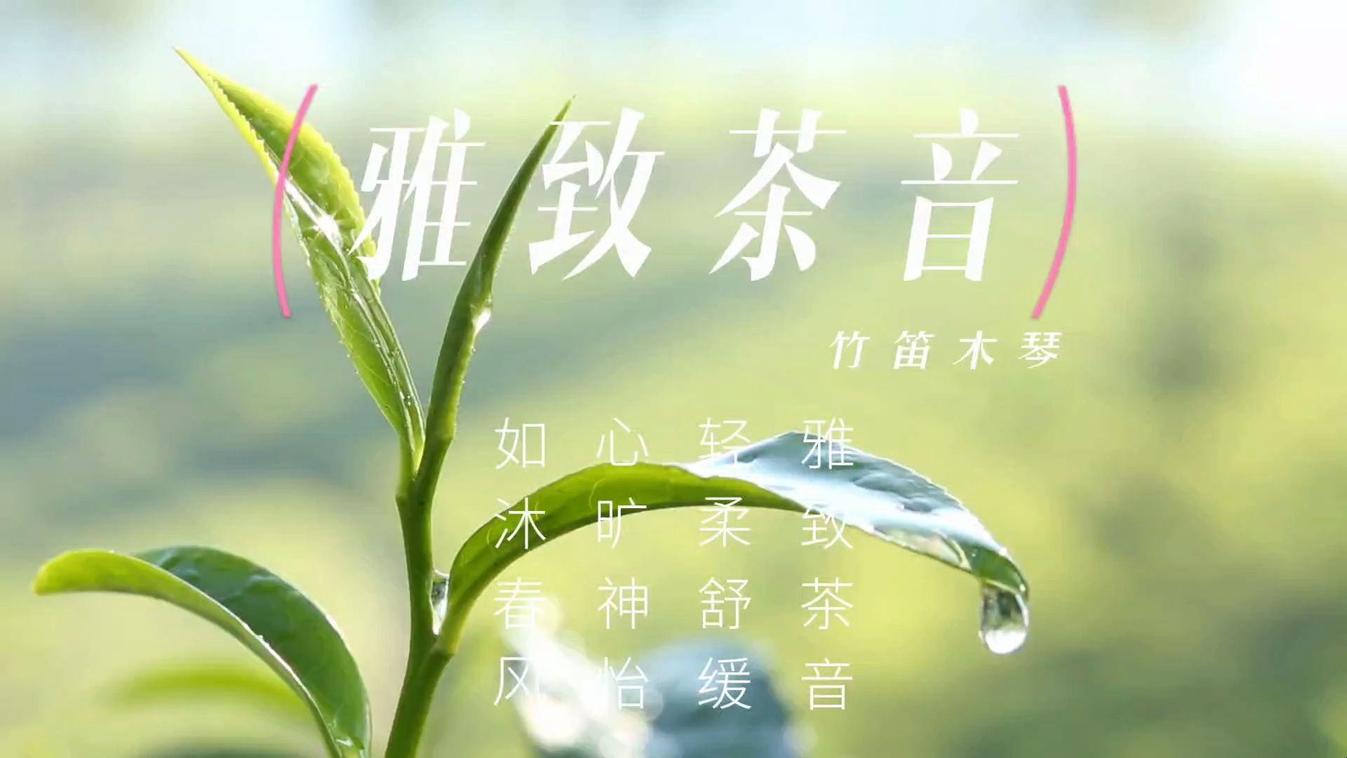 【音乐静听】31竹笛木琴《雅致茶音》雅致茶音,轻柔舒缓,心旷神怡,如沐春风,寻一处静谧,品味茶音,让心灵停靠哔哩哔哩bilibili