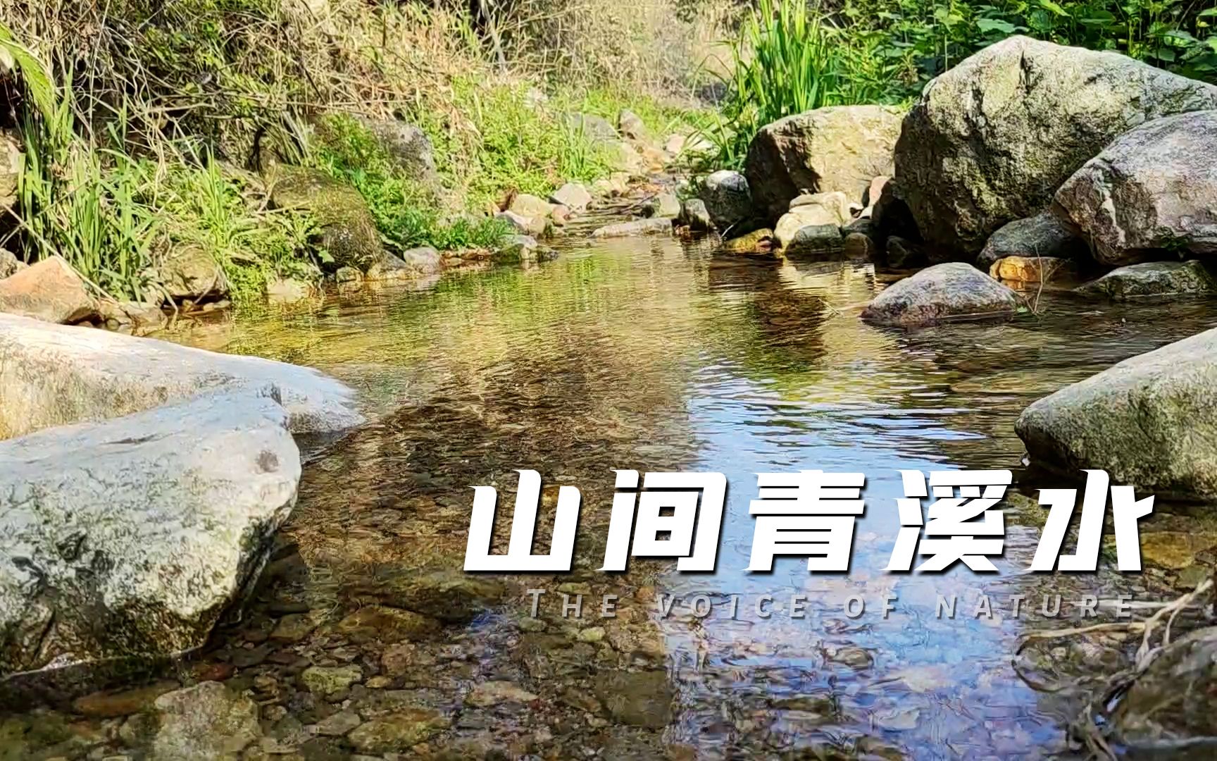 山间溪水心旷神怡,静谧而灵动的溪水声,帮助睡眠舒缓心情的轻音乐,让人快速入睡治疗失眠,瑜伽 静坐 冥想背景音乐,大自然声音哔哩哔哩bilibili