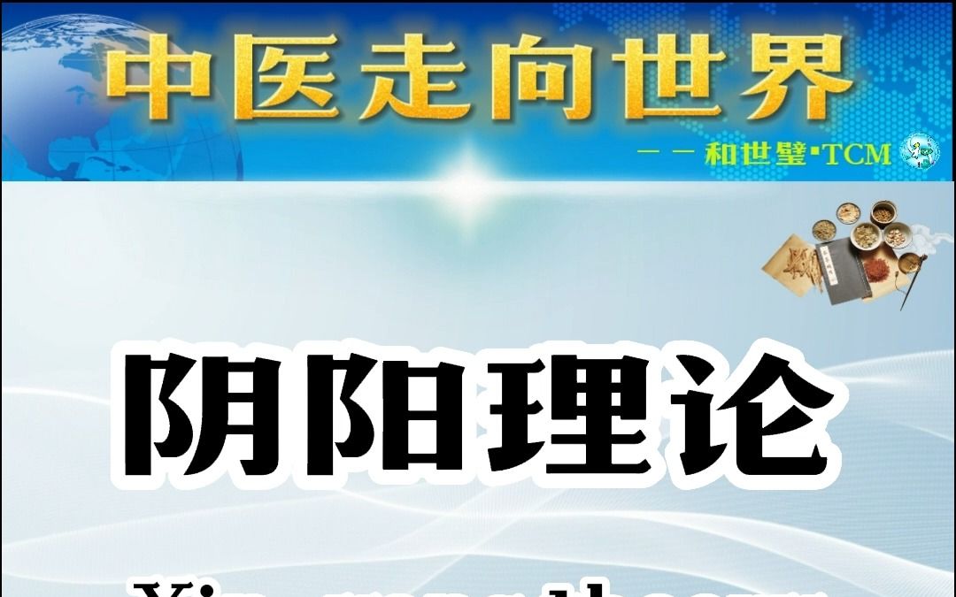 【中医走向世界】“阴阳理论”释义 | 双语教学哔哩哔哩bilibili