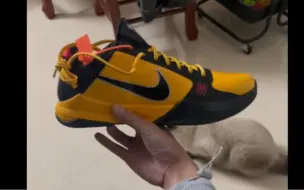 Download Video: ZK5@Star.S Kobe 5 Protro“Bruce Lee”➡️niceinsrar