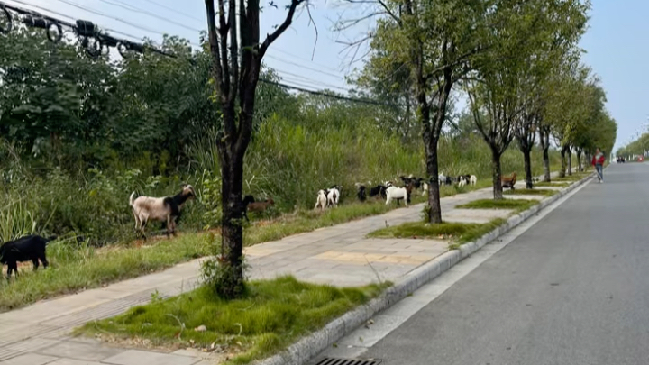 [图]期待桂林的夏天～