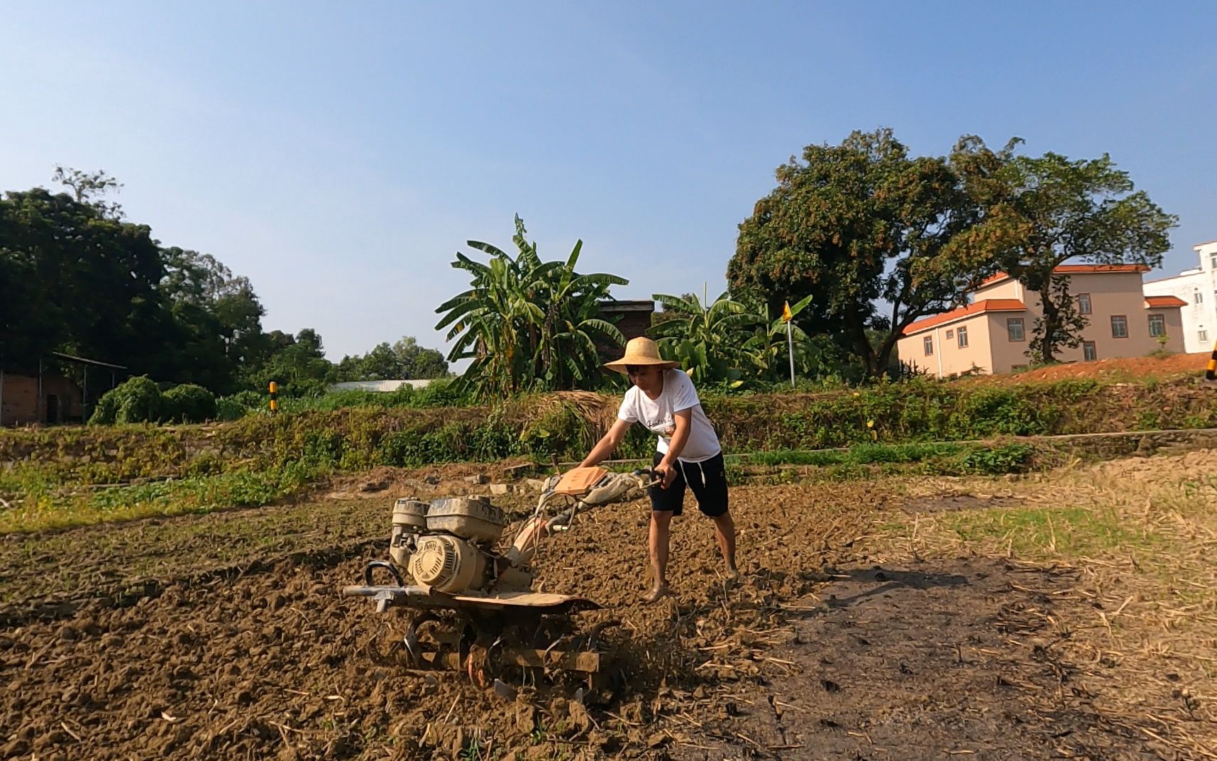城市套路深回农村耕田种地?小伙用行动告诉你,这种太阳你顶不住
