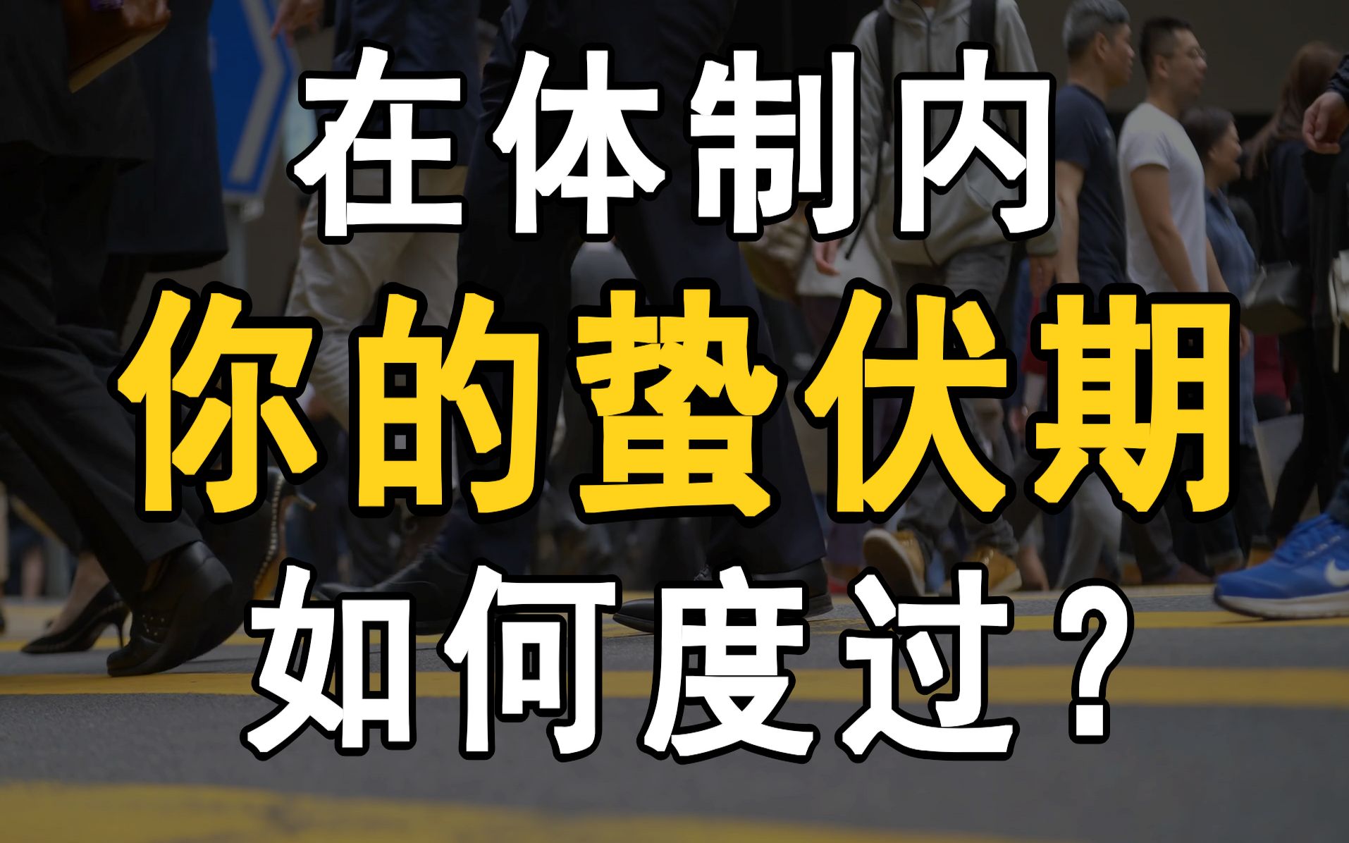 在体制内,你的蛰伏期如何度过?哔哩哔哩bilibili