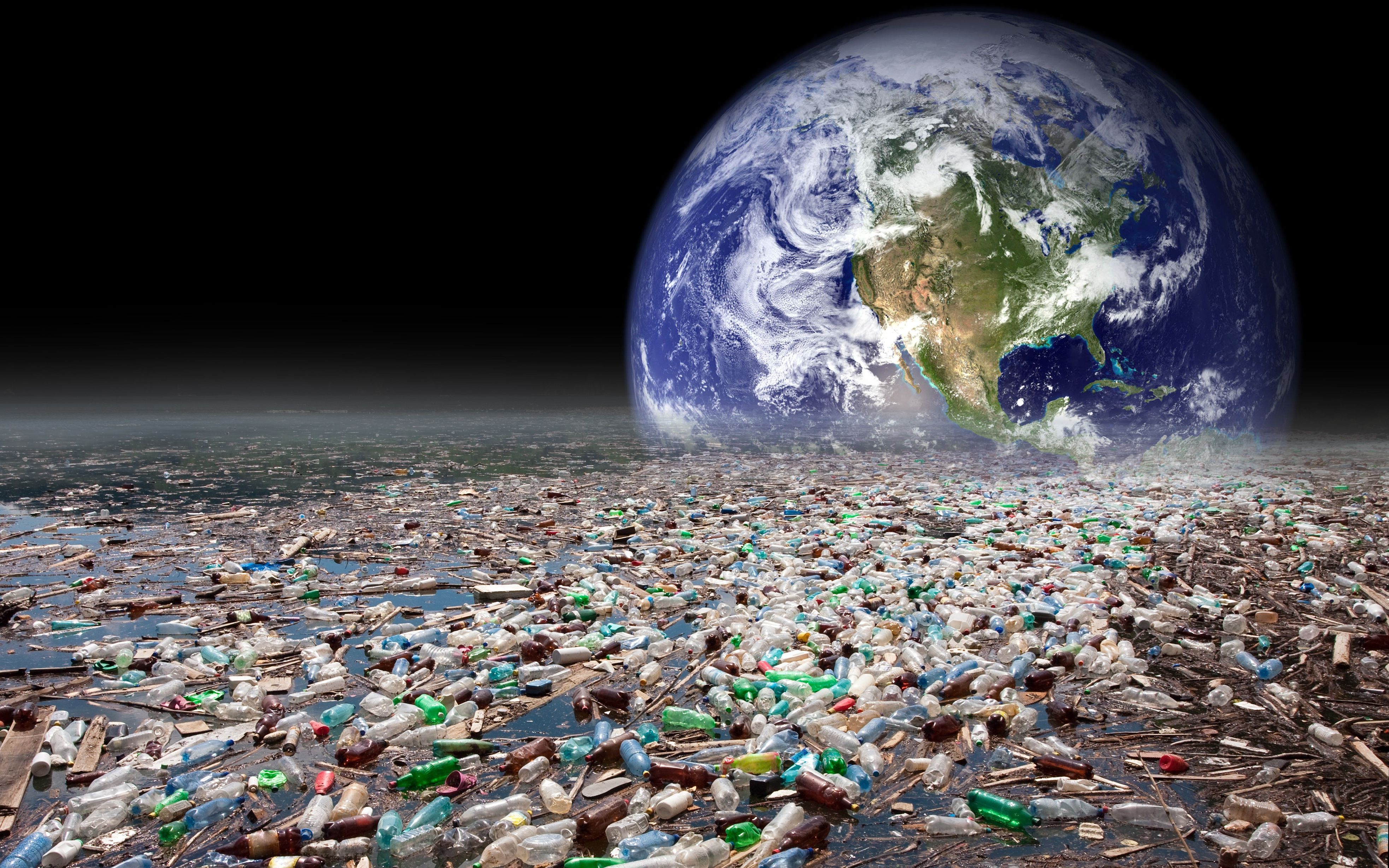 垃圾组成"第八大陆",鱼类误吞窒息而亡,人类应该怎么办?