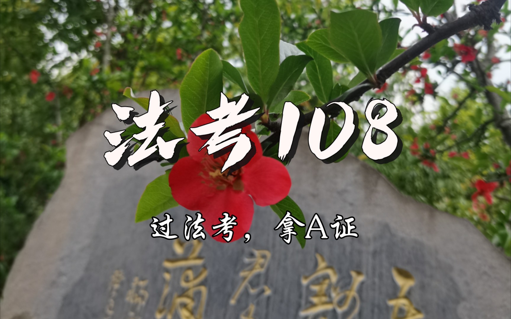 2022年的法考终于告一段落了,我也可以说功不唐捐了.