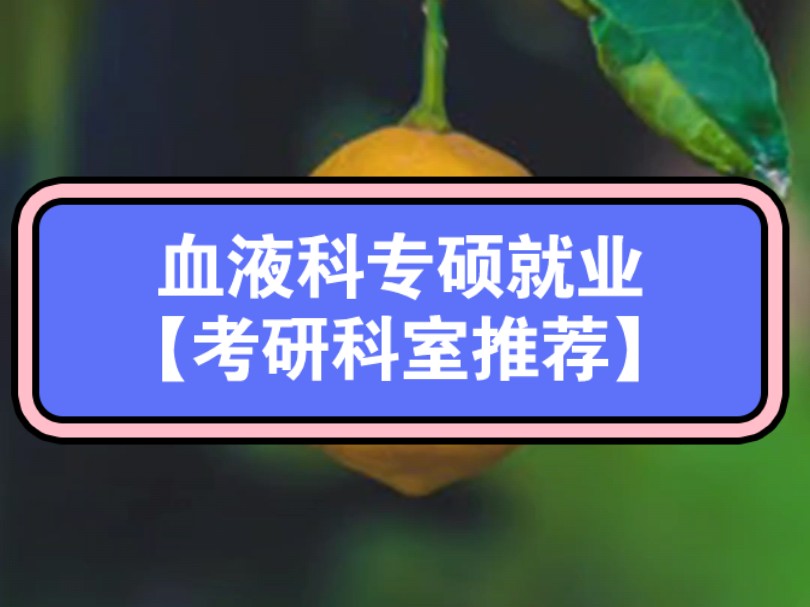 血液科专硕就业【考研科室推荐】小医院的病人穷的令你震惊,大医院的病人拿着大把钱为了个希望,完全的两极分化,小医院穷,大医院累,不推荐普通人...