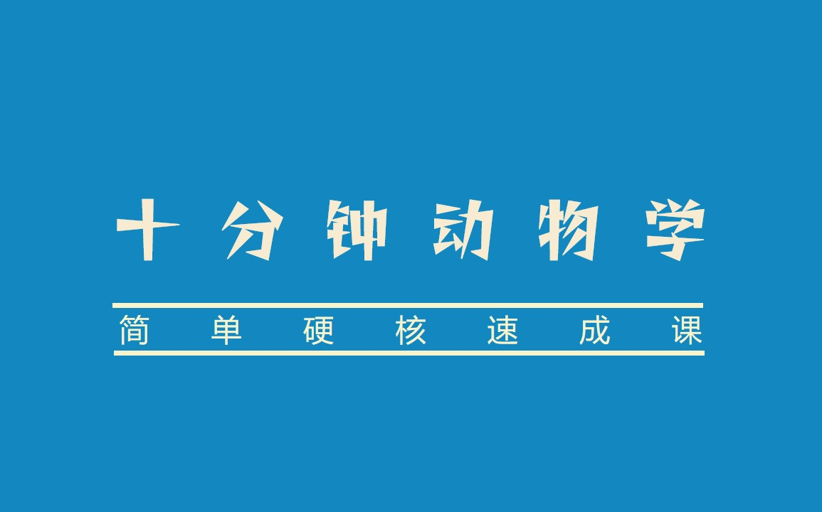 《十分钟动物学》【中英双字精品速成课】哔哩哔哩bilibili