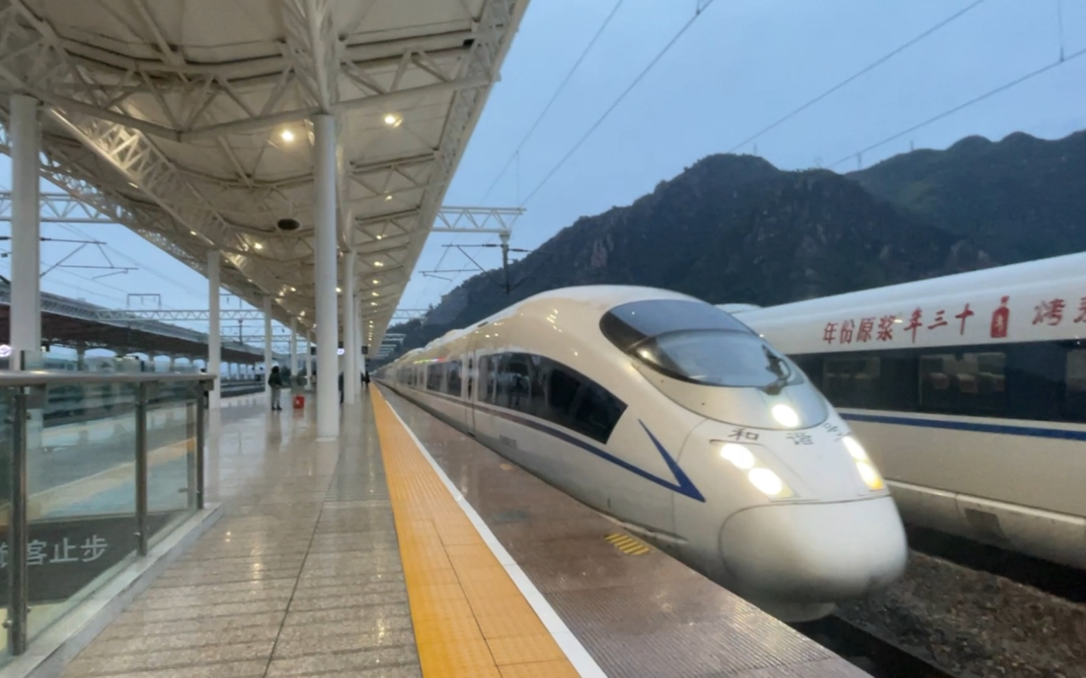 g1228次列车于早晨7:05分进平阳站