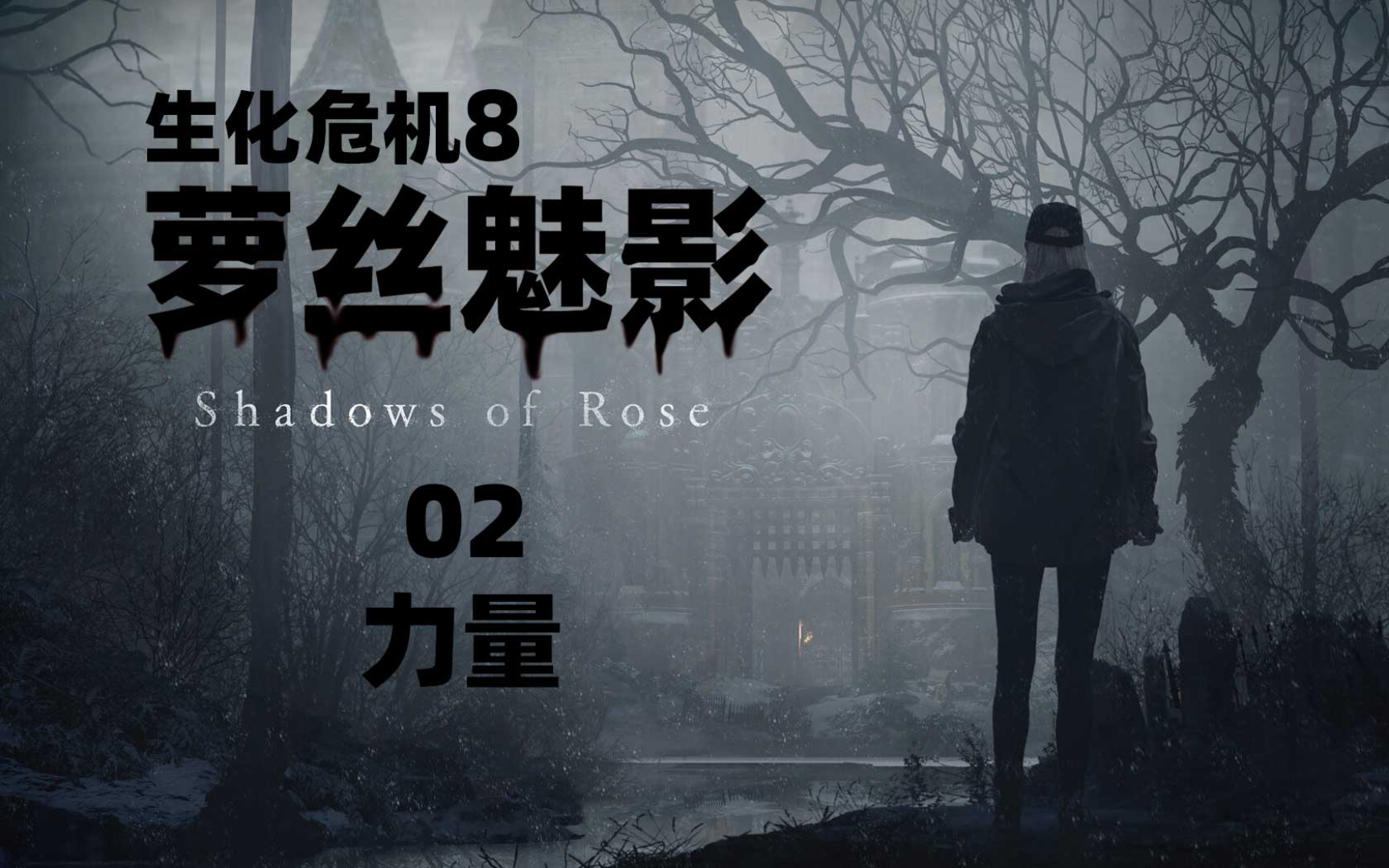 《生化危机8萝丝魅影》硬核难度攻略解说【02 力量】