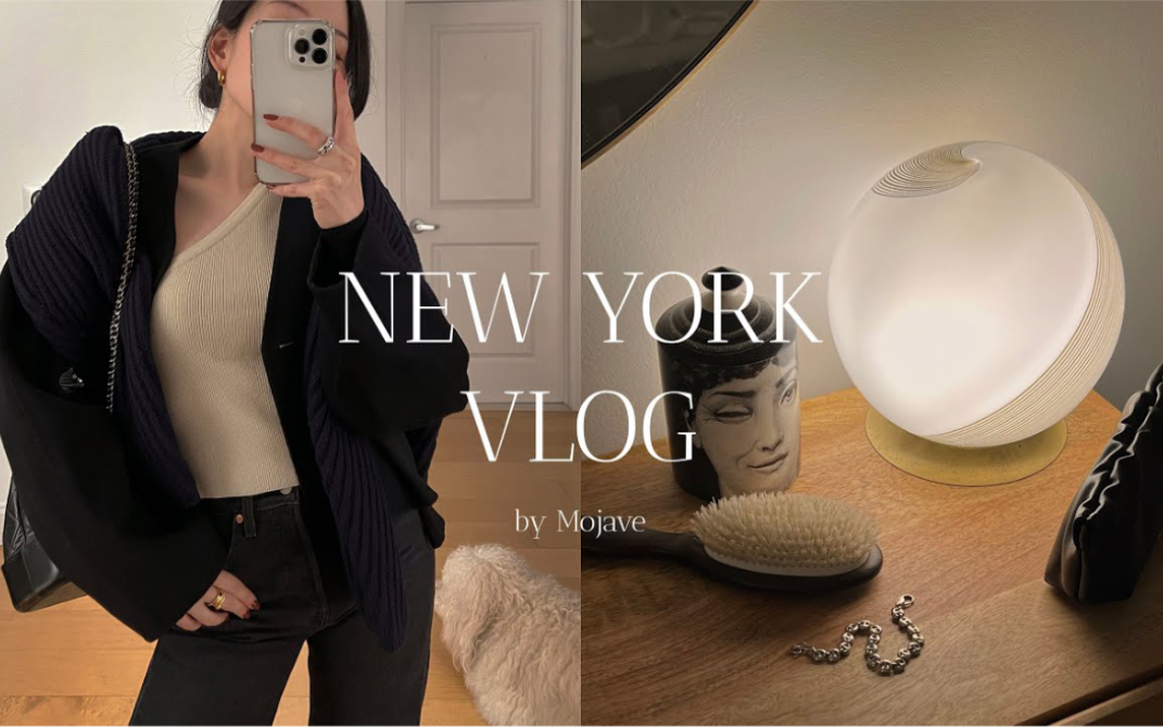 「Mojave」NY vlog𐟗𝧺𝧺椸Š班族的日常|古董店之旅 | 新发现的餐厅 | 芝加哥深盘披萨 | 家庭咖啡厅气氛晚餐哔哩哔哩bilibili