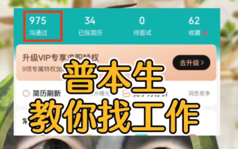 普本生教你找工作?你真的需要这份工作吗?哔哩哔哩bilibili