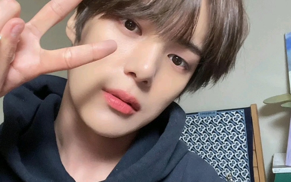 活动作品李玟赫自拍界的珠穆朗玛之狗宝比耶