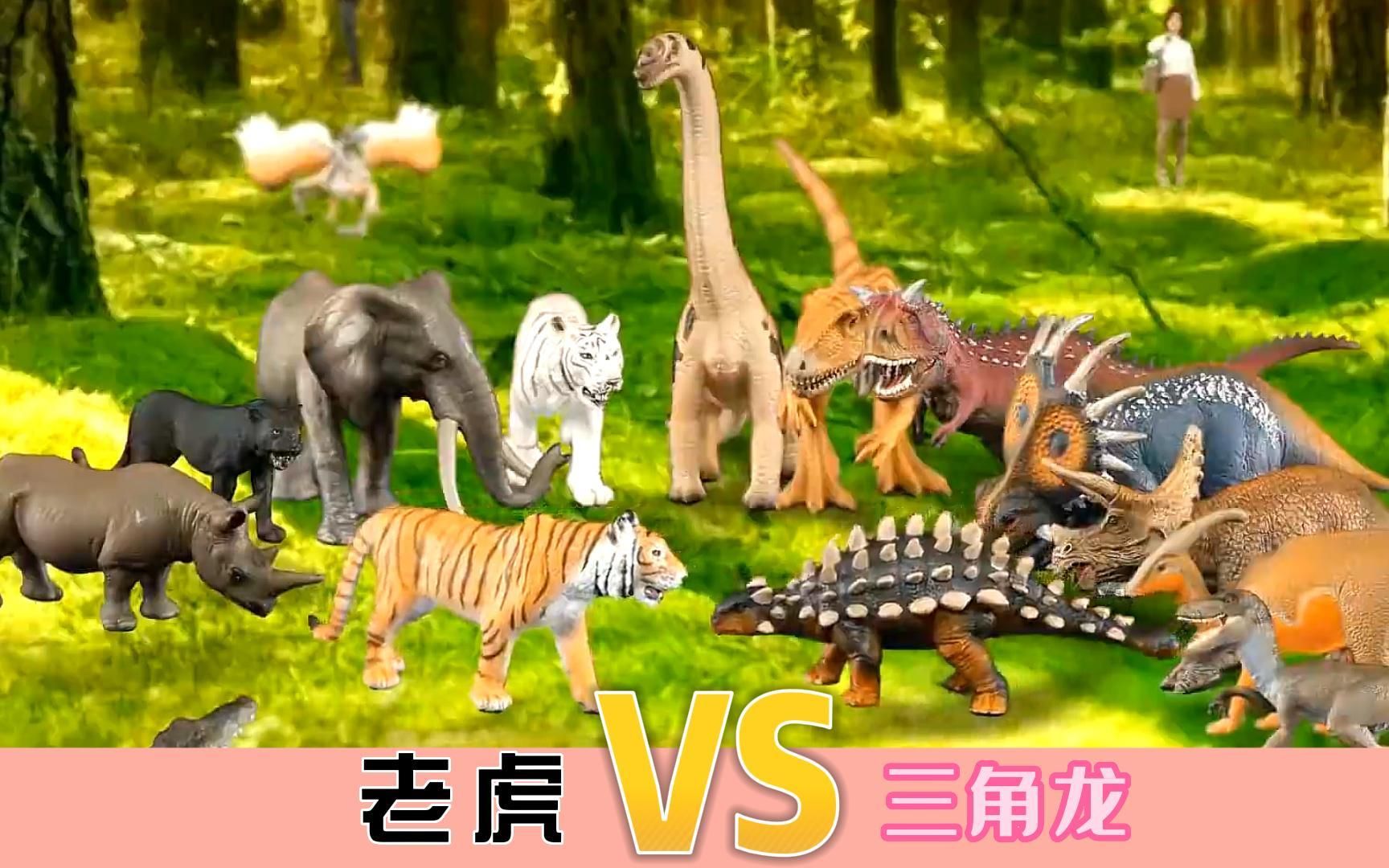 恐龙世界大战《老虎 VS 三角龙》哔哩哔哩bilibili