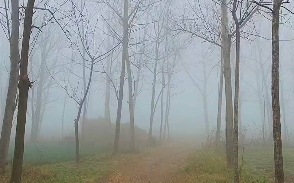 [图]时隔多年，每当在梦里看到自己的故乡，都想仔细寻找那个身影，可越想看清楚，视线却变得越模糊！小时候真傻，居然盼着长大...