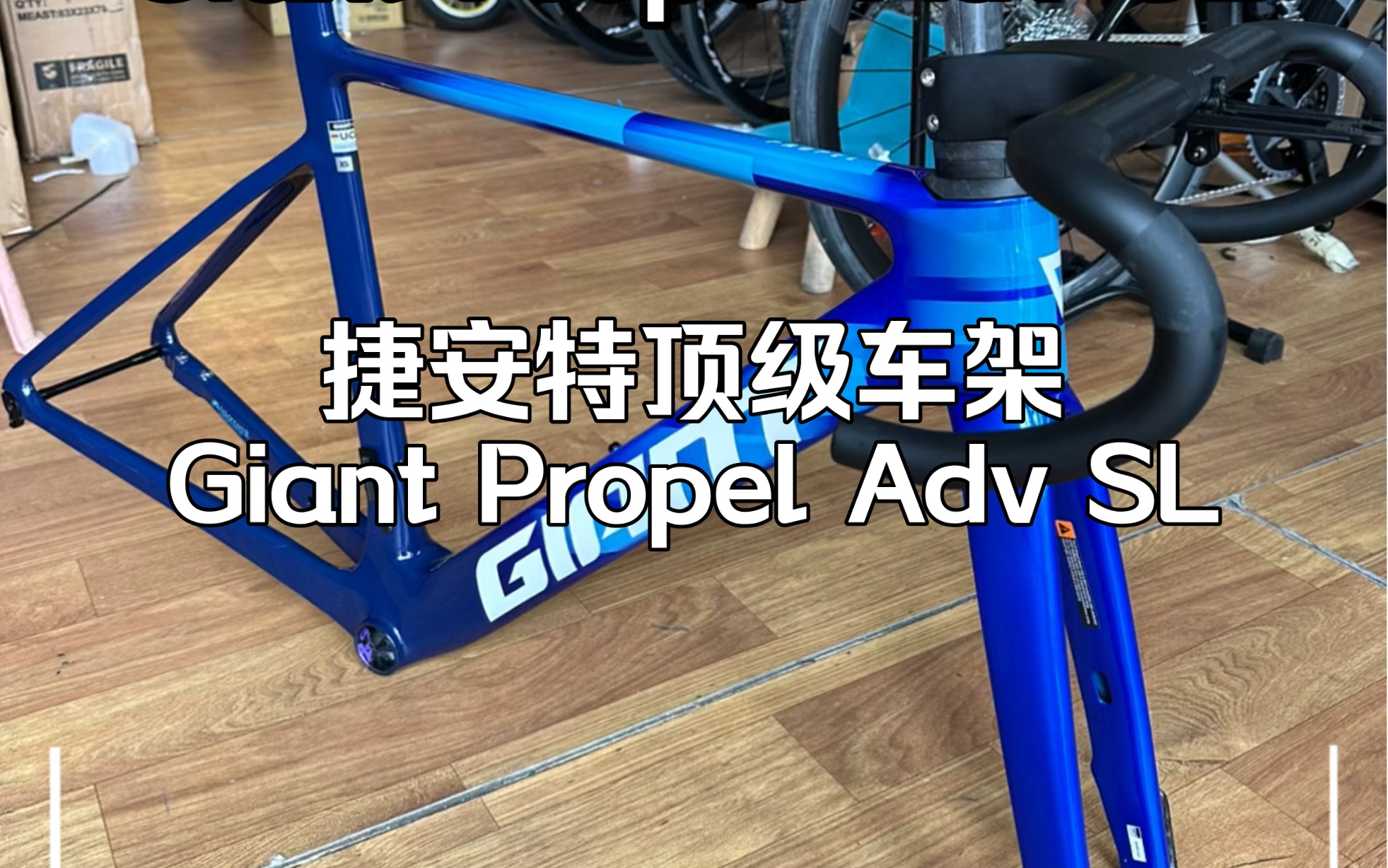 捷安特頂級公路車 giant propel advanced sl