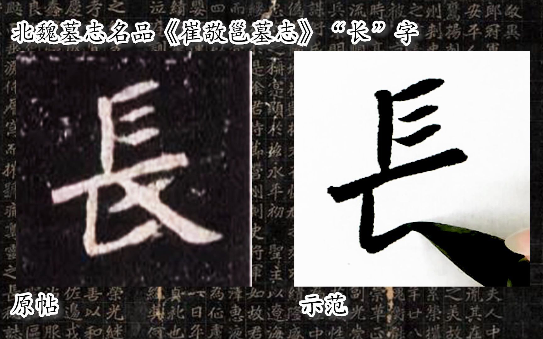 [图]【每日一字】书法系列，周东芬临北魏墓志《崔敬邕墓志》“长”字