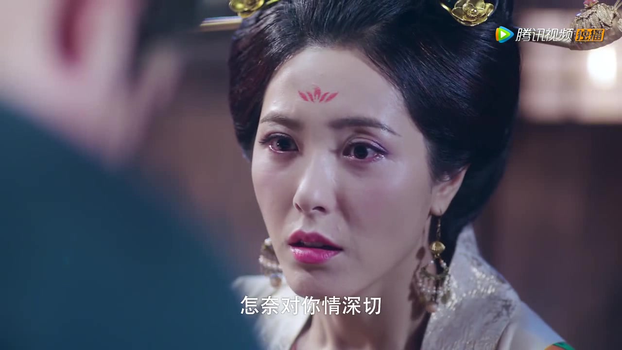 曾黎杨玉环42cut2