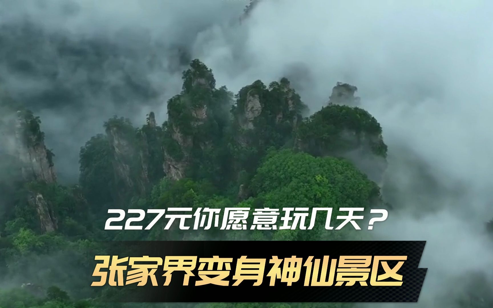 一张门票张家界国家森林公园只要247元,可以玩4天,你想玩几天?哔哩哔哩bilibili