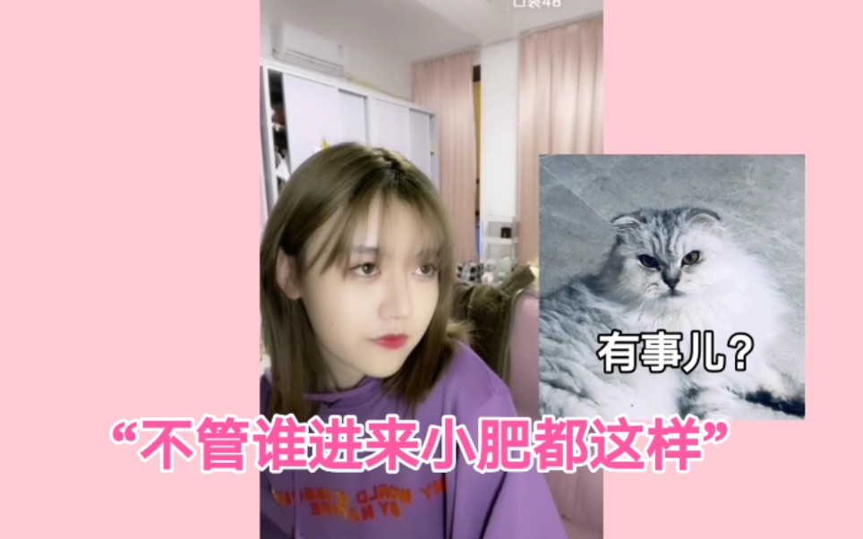 【GNZ48艾朱】众星捧月肥肥子 是被家长捂在手心里的小宝贝~哔哩哔哩bilibili