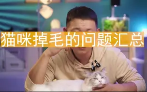 Download Video: 如何处理猫咪掉毛的问题 ?猫咪掉毛问题汇总