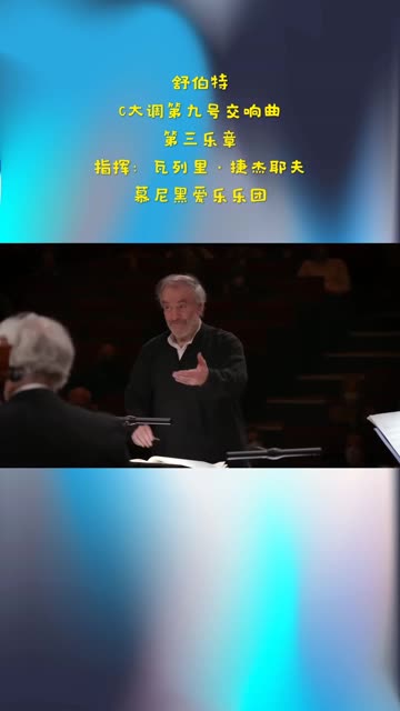 舒伯特C大调第九交响曲“伟大”第三乐章,旋律奔放,思想意境高远、深婉,乐章结构波澜起伏不定,格调高下抑扬,在这样优美的意境之中,快意之情显...